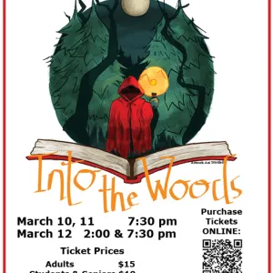 Into the Woods: the THS musical! &mdash; cover photo