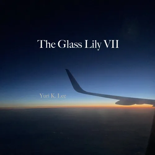 The Glass Lily VII (2023)